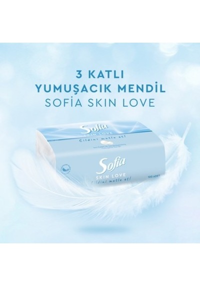 100'lü X 12 Mendil İle Yumuşak Ve Pratik Kullanım