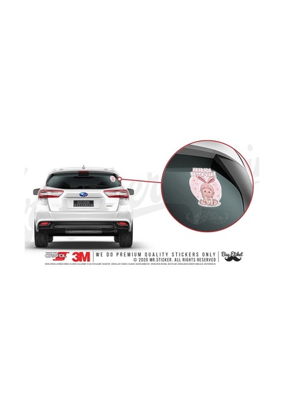 Bob21 Tavsan Sapkali Arabada Bebek Var Sticker
