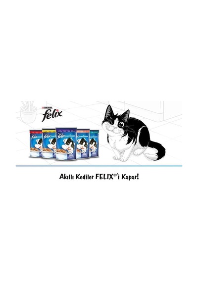 Sığır Etli Kedi Yaş Mama 26 X 85 Gr