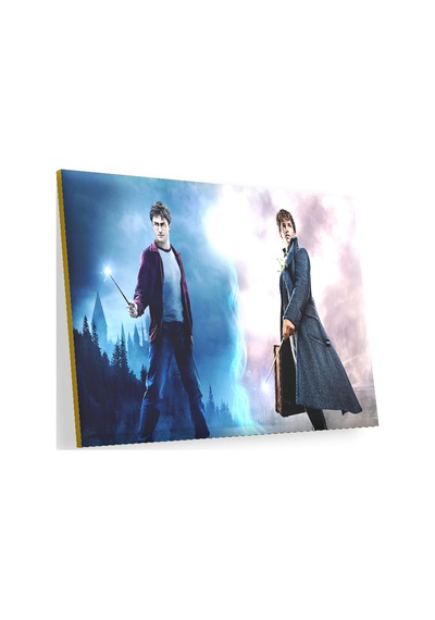 Cakasepetim Fantastik Canavarlar Ve Harry Potter Ahşap Mdf Tablo