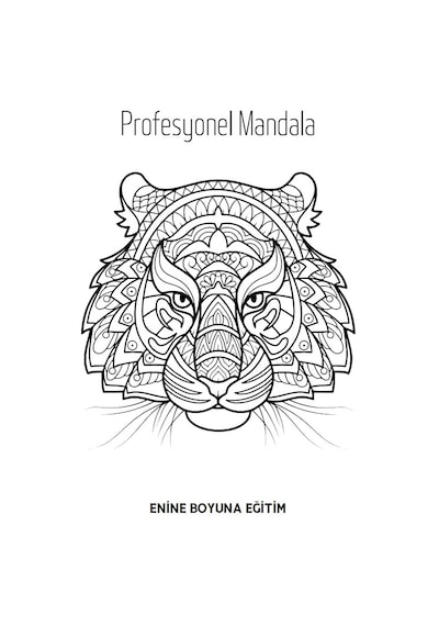 Süper Mandala Kitap Seti 3 Kitap