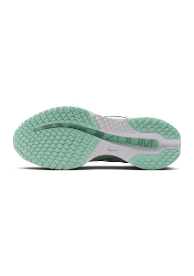Nike Pegasus Premium Yürüyüş Ve Kadın Koşu Ayakkabısı Playful Hq2593-103 Pasha Giyim Çok Renkli