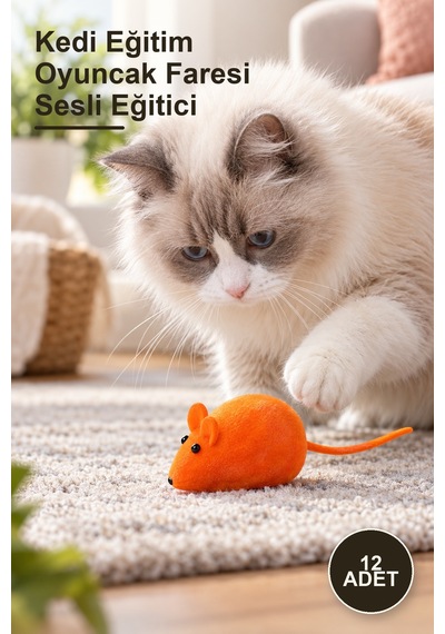 12 Adet Kedi Eğitim Oyuncak Faresi Sesli Eğitici