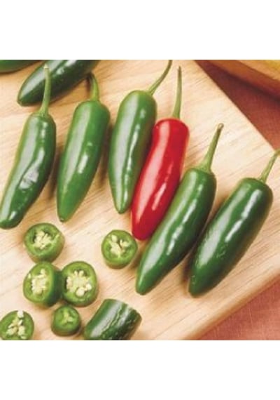 20+ Meksika Serrano Biber Tohumu