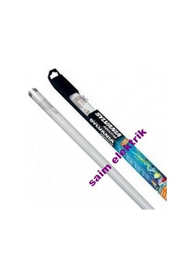 24W Marinestar 55Cm