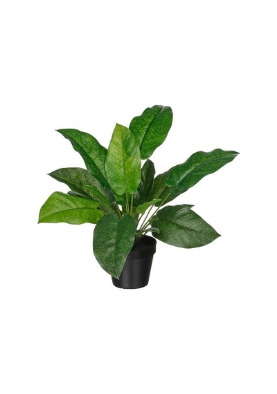 Ikea Fejka Yapay Bitki, Yeşil, 12 Cm, İç/dış Mekan Dua Çiçeği