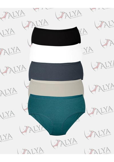 Alya Underwear Kadın Büyük Beden Külot Battal Full Brief, Yüksek Bel 5xl, 6xl, 7xl 5 Farklı Renk 1 Pakette P10