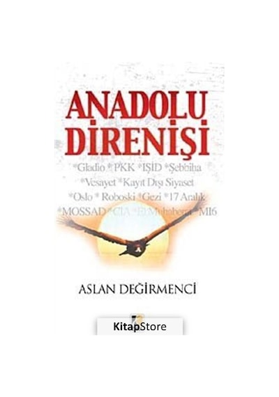 Anadolu Direnişi - Aslan Değirmenci - Çıra Yayınları