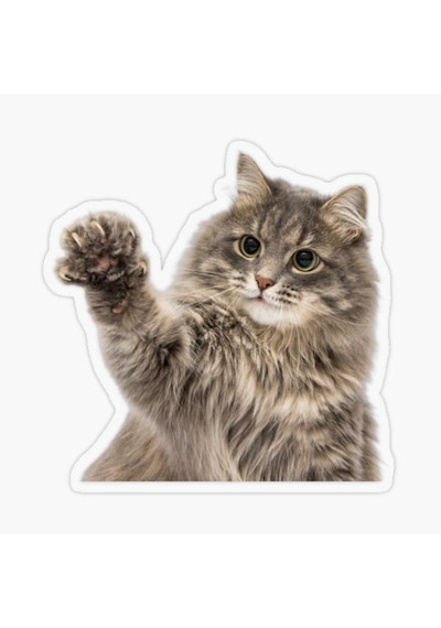 Kırık Cam Efekti Kedi Araba Oto Sticker Etiket Z9