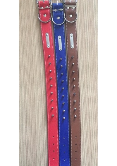 Cadopet Ayarlanabilir Köpek Boyun Tasması Çok Renkli 3.5 x 62 CM