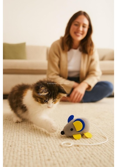 Titreşimli Fare Kedi Oyuncağı Çek Bırak İpli Hareketli İnteraktif Oyuncak Kedi Egzersiz Ve Av Oyuncağı Yavru Ve Yetişkin Kediler İçin