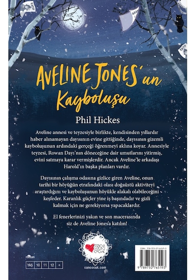 Aveline Jonesun Kayboluşu