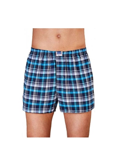 Berrak Erkek Karışık Desen 6'Lı Poplin Boxer