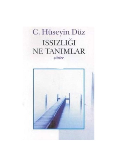 Issızlığı Ne Tanımlar - C. Hüseyin Düz İlk Baskı 2001