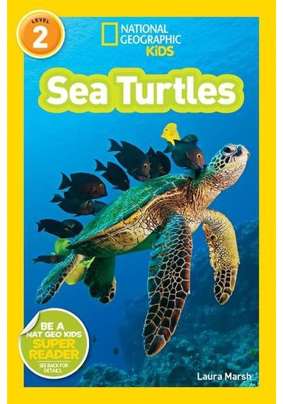National Geographic Readers: Sea Turtles 9781426308536