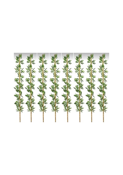 Rüzgar Yapay Çiçekçilik 220 Cm 8 Adet Bambu Yeşil
