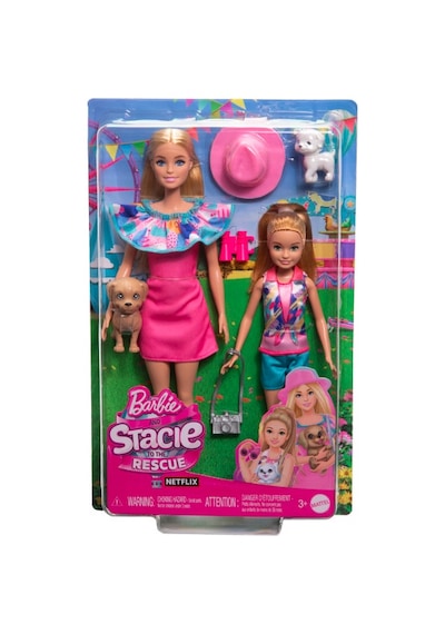 Barbie ve Stacie Kız Kardeşler İkili Set HRM09