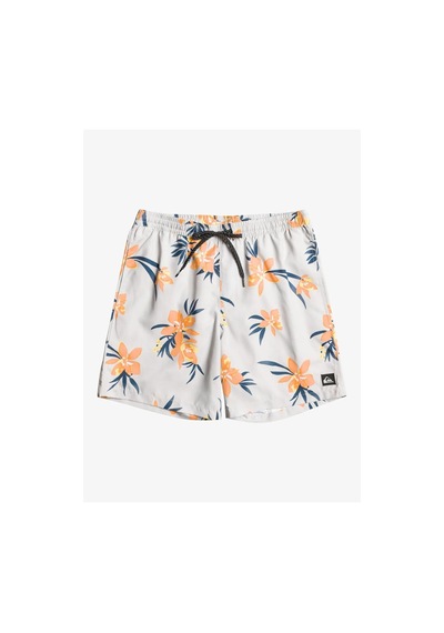 Quiksilver Eqyjv04002-wdw6 Mix 17 M Jamv Erkek Deniz Şortu 001