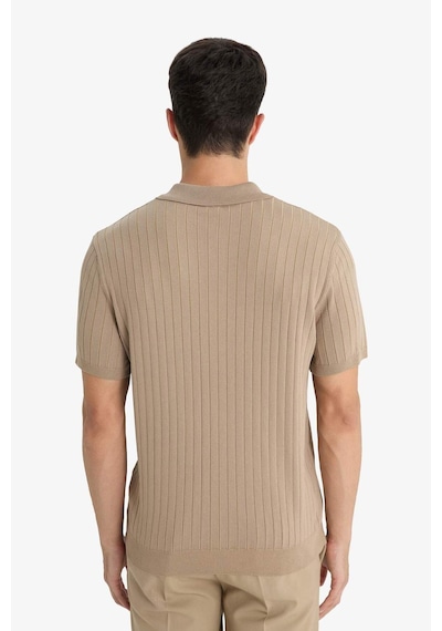 DeFacto Standart Fit Polo Yaka Triko Kısa Kollu Tişört E4603AX25SMBG129