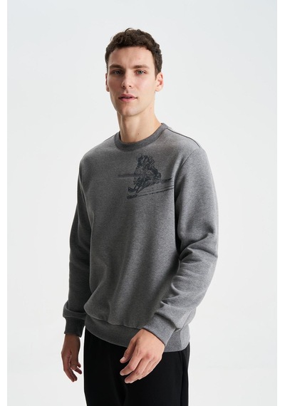 AR-MA Arma Erkek Regular Fit Pamuk Polyester Kumaş Karışımı Bisiklet Yaka Sweatshirt 001