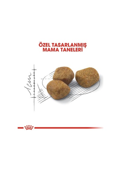 Royal Canin Indoor +7 Yaşlı Kedi Maması 3,5 Kg