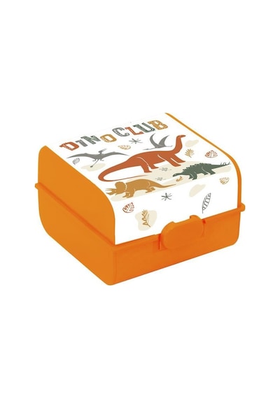 Dino Club Desen Beslenme Kutusu