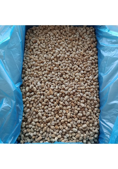 Toptan Pütürge Lüks Dut Kurusu 10 Kg 10 KG