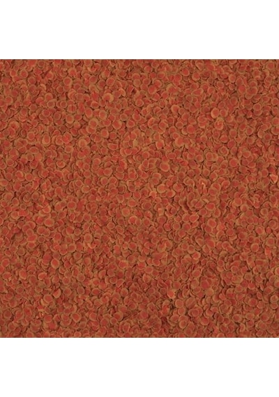 Tetra Pro Colour 500gr ( Kovadan Bölme )