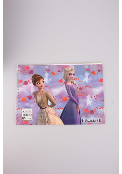 FROZEN ELSA RESİM DEFTERİ