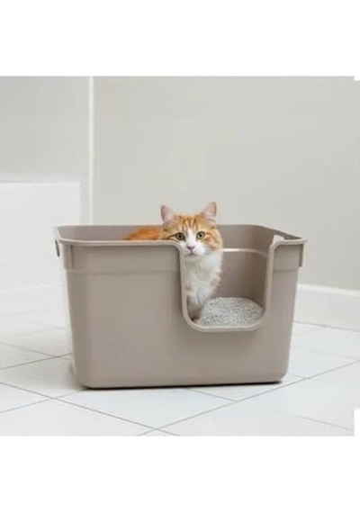54x40x32 Cm Boyutunda Bej Renk Yarı Açık Kedi Tuvaleti Açık Ahşap