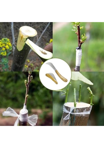 Burcu Aşı Bıçağı Aşılama Makası 19 CM + Aşı Macunu Seti Aşı Makası