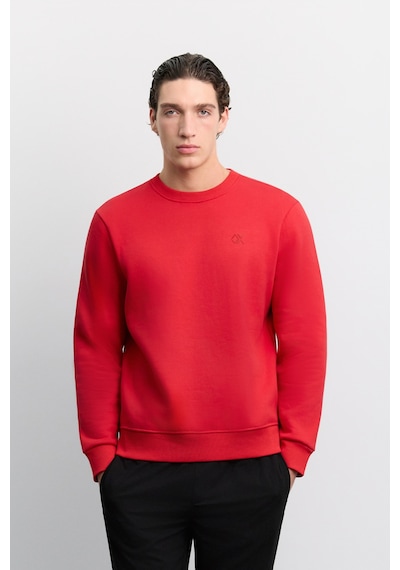 Avva Erkek Kırmızı Bisiklet Yaka 3 İplik Şardonlu -5 Dereceye Dayanıklı Regular Fit Sweatshirt A62y1291