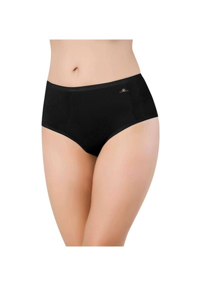 Kadın 6 Lı Paket Ten Modal Yüksek Bel Slip Külot 6gg1851 001
