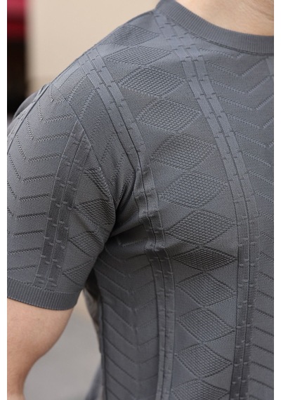 Antrasit Bisiklet Yaka Slim Fit Triko Erkek Tişört E7466