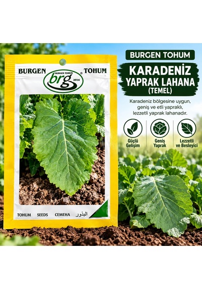 Karadeniz Yaprak Lahana Tohumu 10 Gram