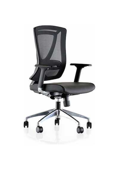 Dekofis Goldsit Ergonomik Çalışma Koltuğu Dekofis Goldsit Ergonomik Çalışma Koltuğu