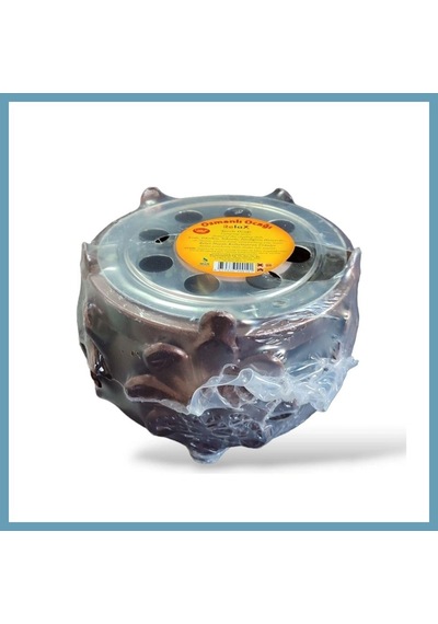 Bezos Osmanlı Ocağı Mbt06 Çok Renkli