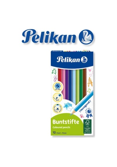 Kuru Boya Kalemi 12'li Kutu Çok Renkli