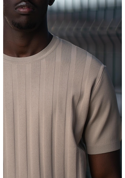 Bisiklet Yaka Rayon Kumaş Kendinden Çizgili Likralı Slimfit T-shirt 001