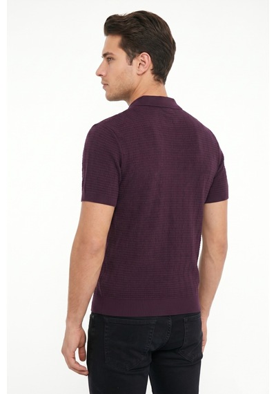 Baglan Erkek Spor Polo Yaka Triko Tişört Bgl-st05371 Mürdüm