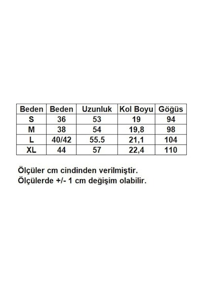 Dreamlike V Yaka Kısa Tırnak Kol Standart Rahat Kesim Şık Ve Cool Saten Bluz