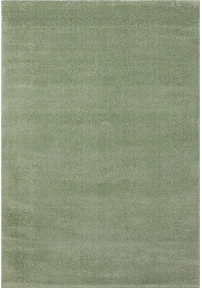 Hoom Rugs Shaggy 01 Green Modern Shaggy Halı