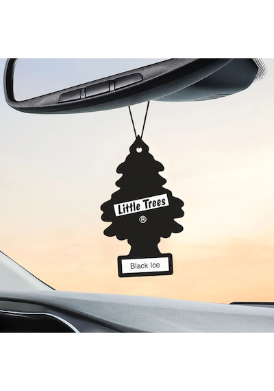 Car Freshner Asma Koku 12'li Siyah Buz