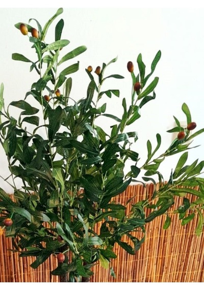 Yapay Zeytin Ağacı 1.50 Mt Boy Doğal Görünümlü Barış Sembolu Zeytindalı Ağacı Ahşap Saksıda Yeşil Karışık