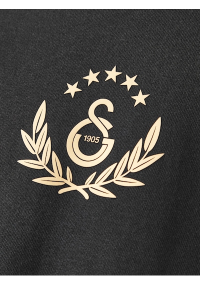 Gsstore Galatasaray Erkek Hoodie E252136 Siyah