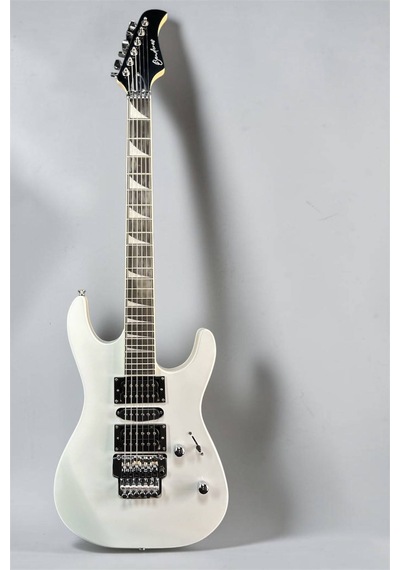 Elektro Gitar Hsh Manyetik Kilitli Köprü Kılıf Askı Kapo Penalık Pena Burgu Çevirici Kablo
