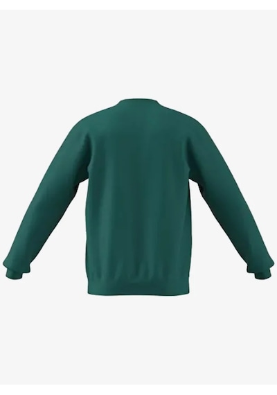 Adidas Ke2319 Terrex Snow Graphic Crew Unisex Sweatshirt Yeşil