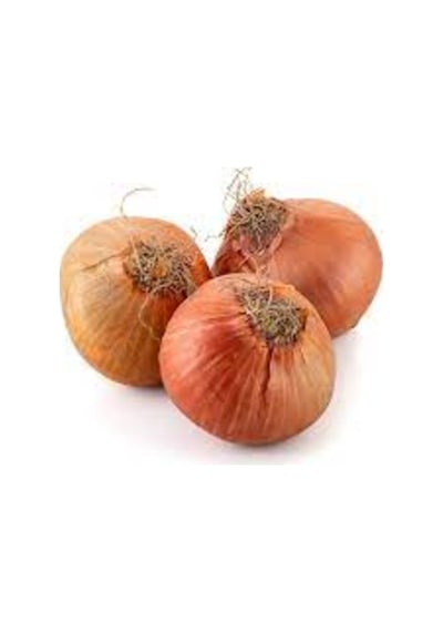 50 Adet Tohum Acısız Kışlık Kuru Soğan Tohumu Organik Hobi Bahçe..