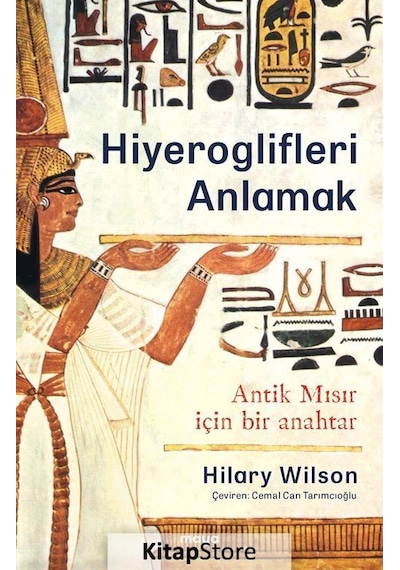 Hiyeroglifleri Anlamak - Hilary Wilson - Maya Kitap