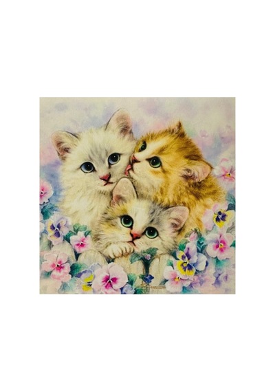 5d Elmas Boncuk Taş Işleme Mozaik Goblen Kit 30x30cm Ms26035 Diamond Painting